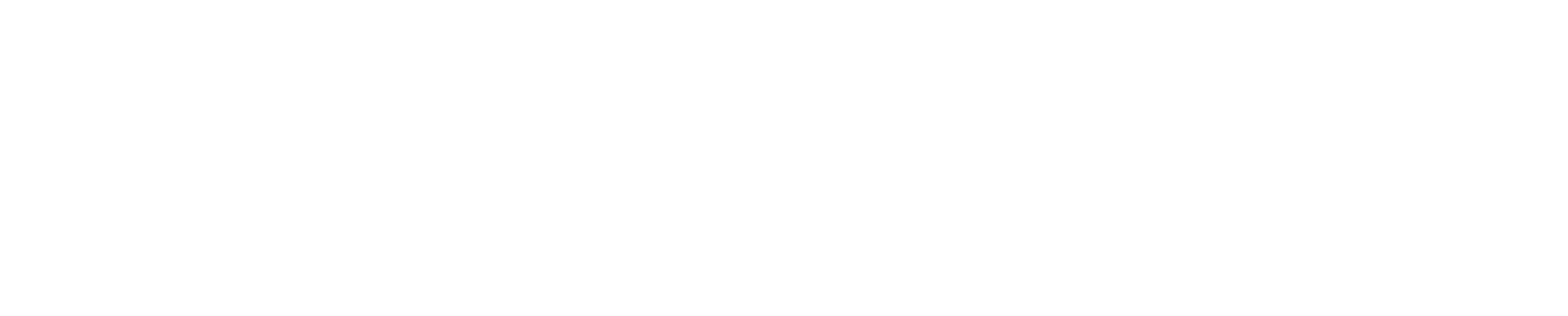 Kali Bailey | Director